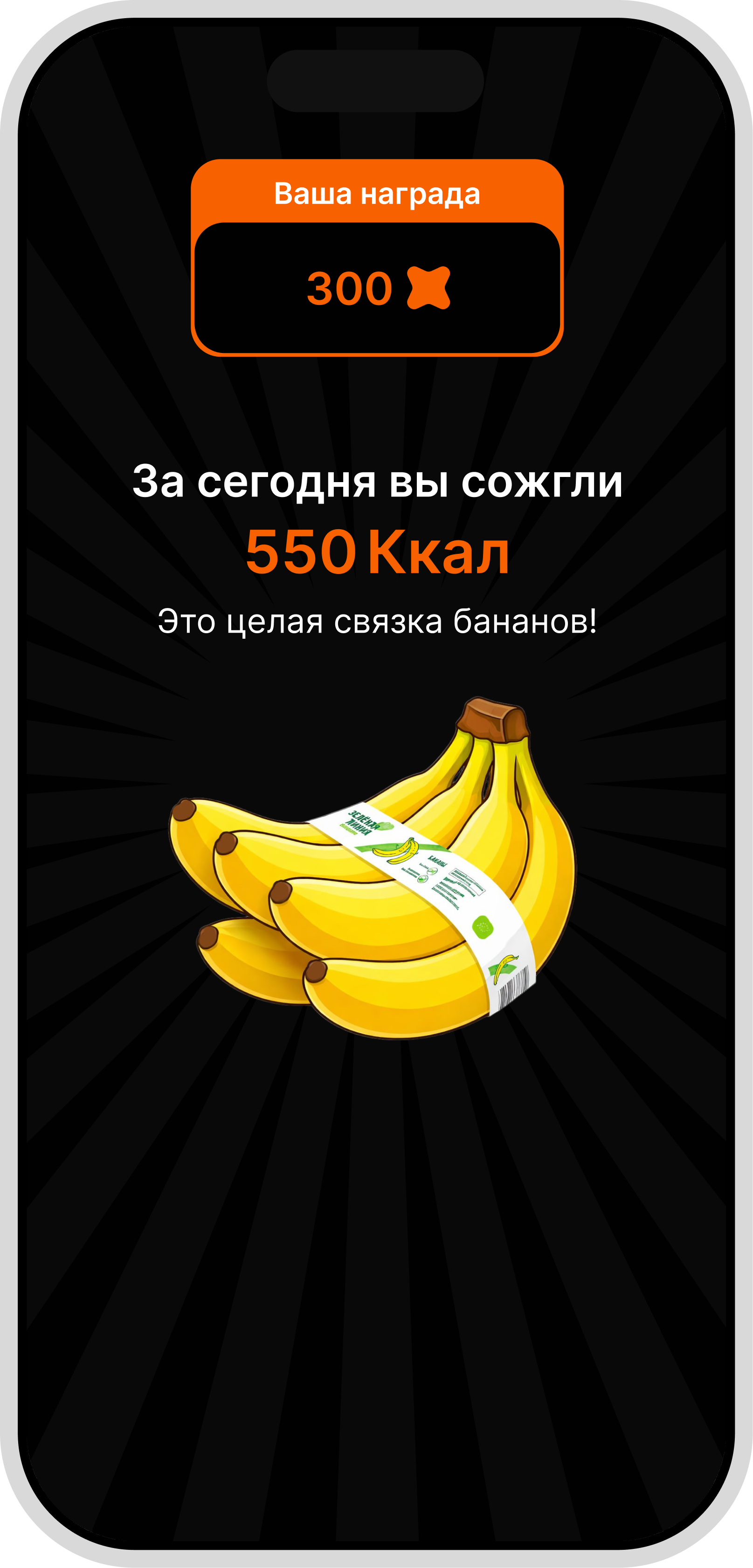 Экран телефона — иконка X5 Run